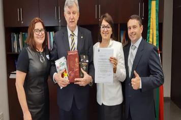 VEREADORES EM BRASÍLIA