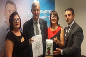 VEREADORES EM BRASÍLIA